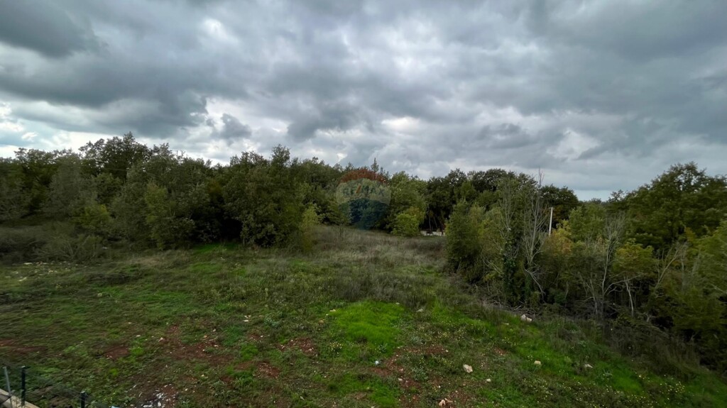 Image 6173393 - 2