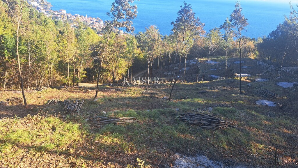Image 6174516 - 4