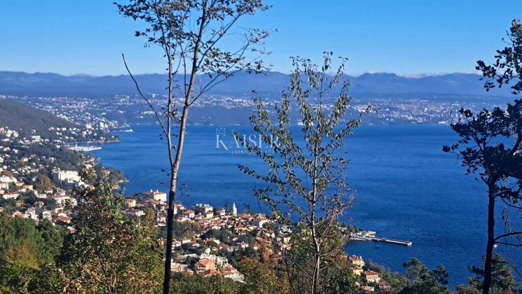 Image 6174516 - 2