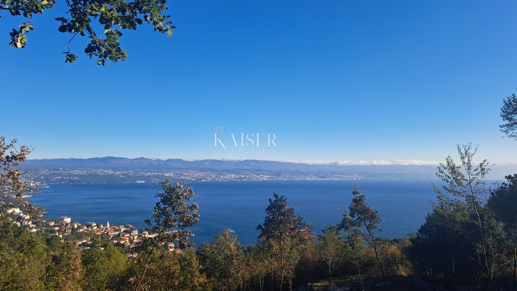 Image 6174516 - 6