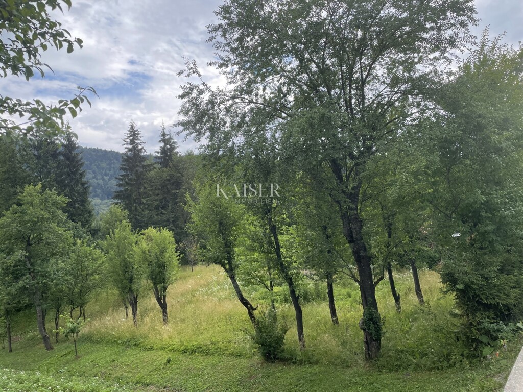 Image 6174517 - 7