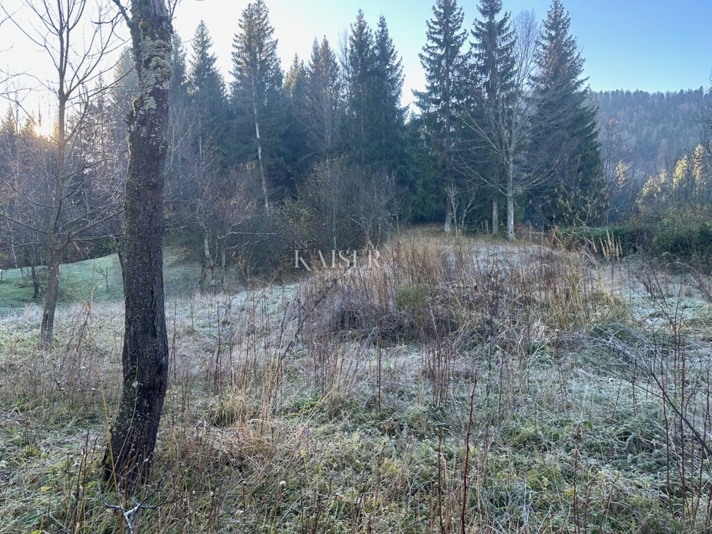 Image 6174517 - 4