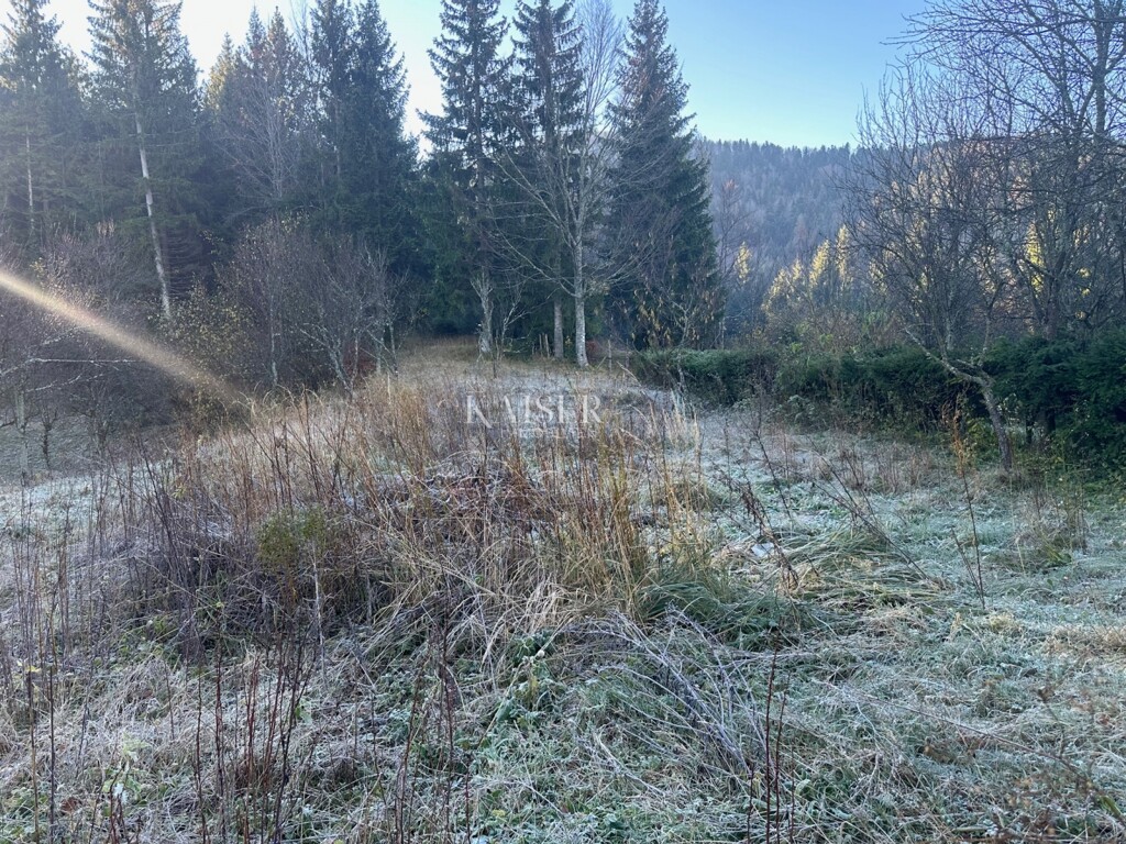 Image 6174517 - 3
