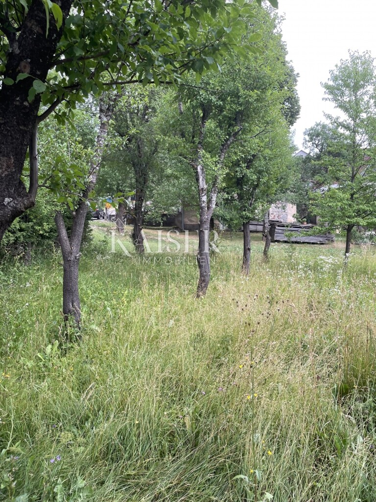 Image 6174517 - 8