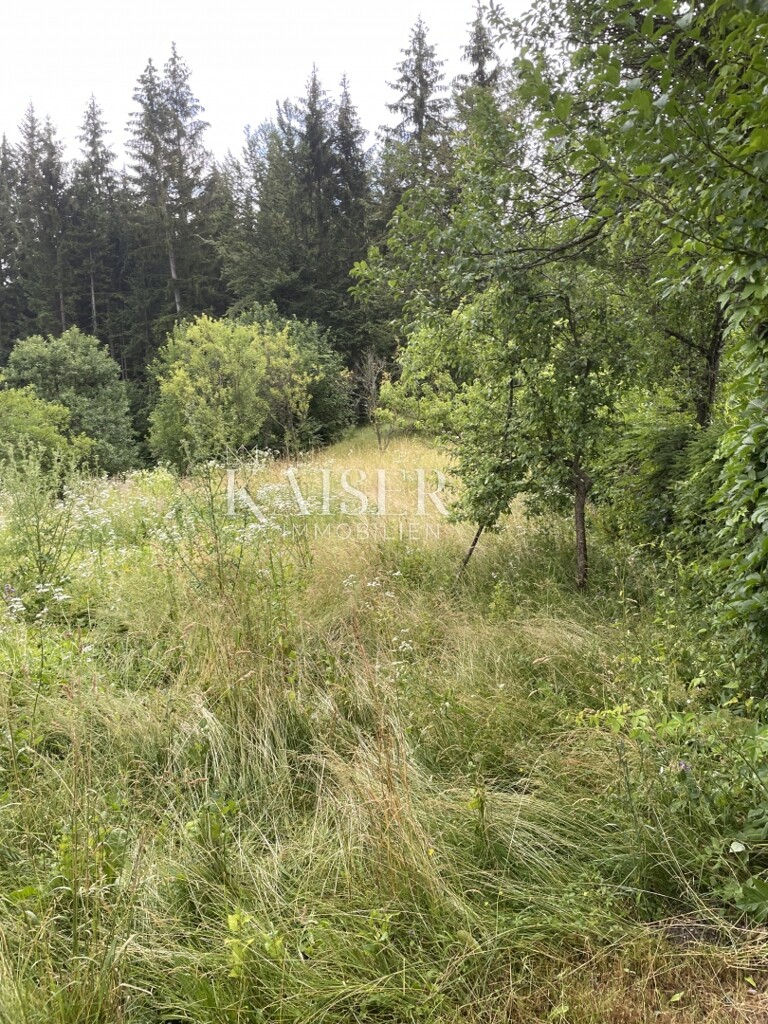 Image 6174517 - 9