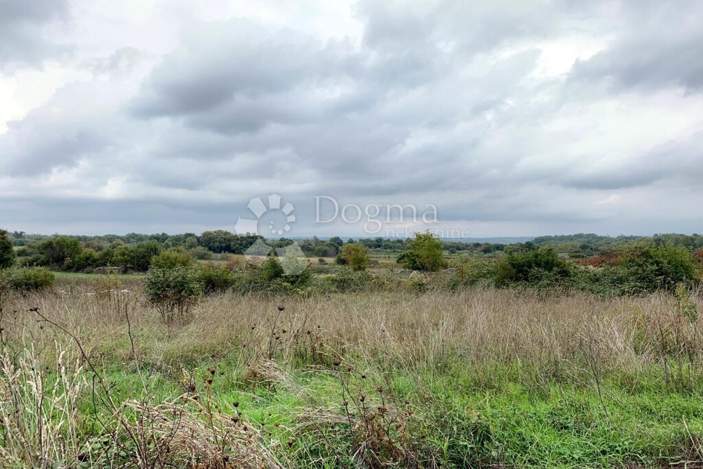 Image 6179073 - 1