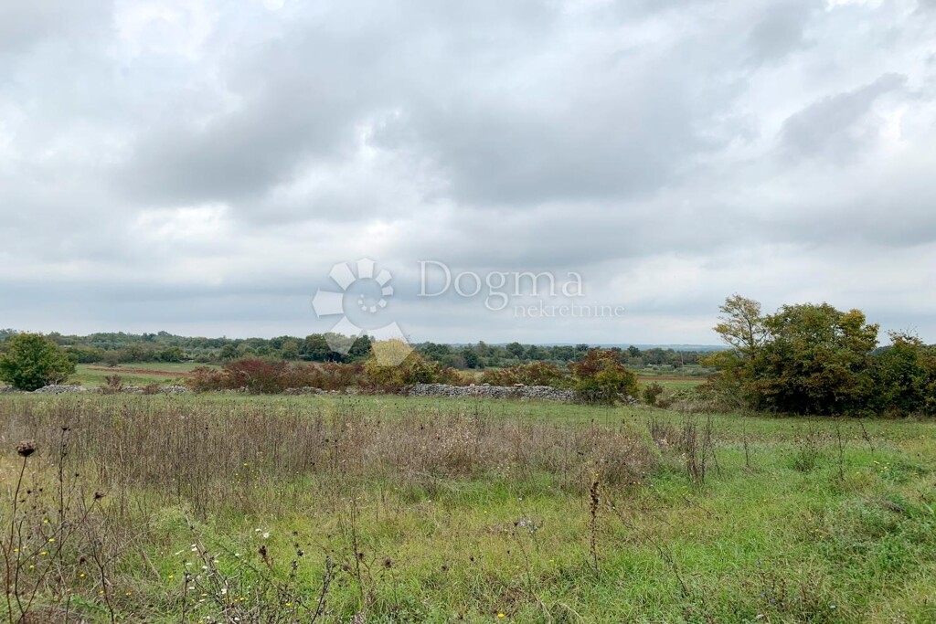 Image 6179073 - 2