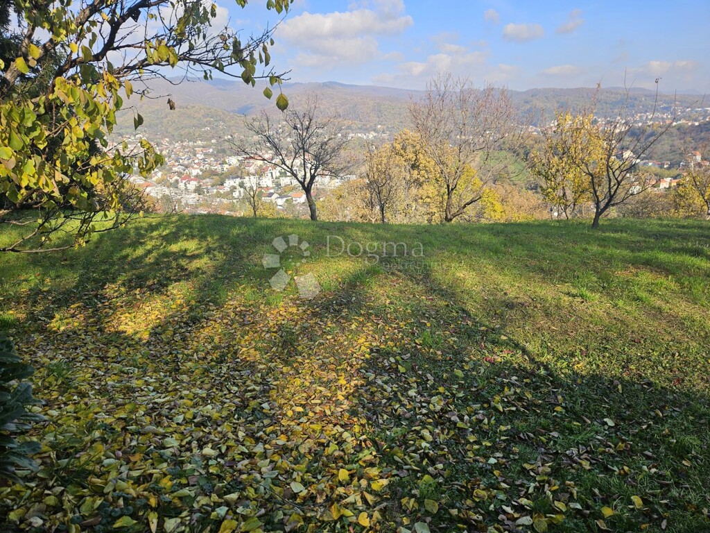 Image 6179075 - 17