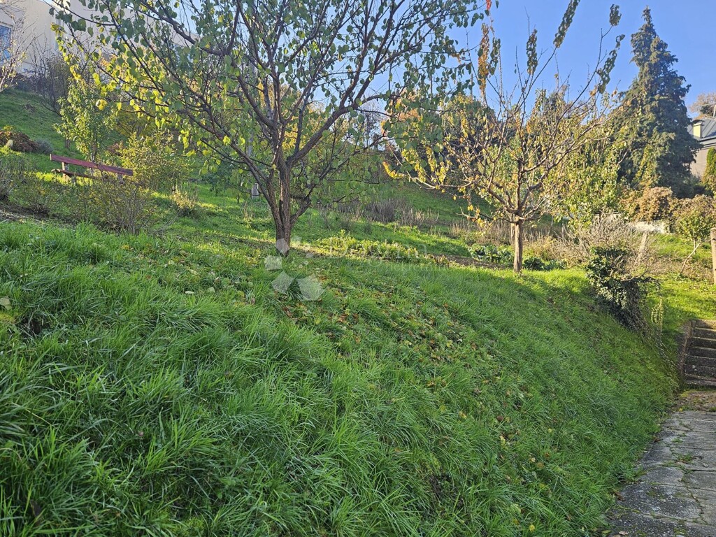 Image 6179075 - 23