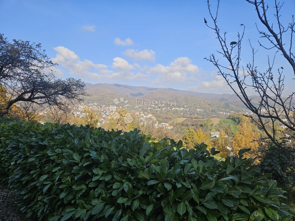 Image 6179075 - 6