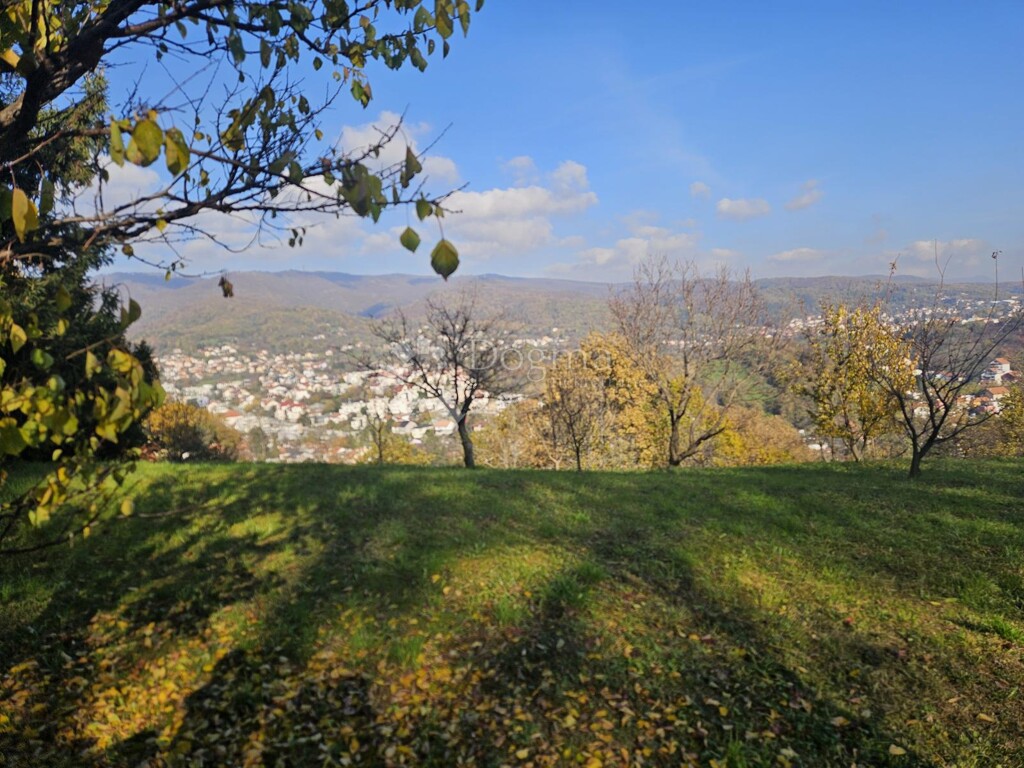 Image 6179075 - 5