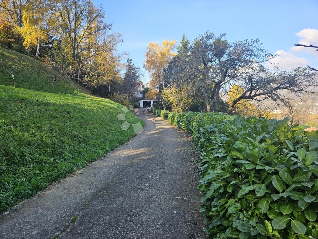 Image 6179075 - 14