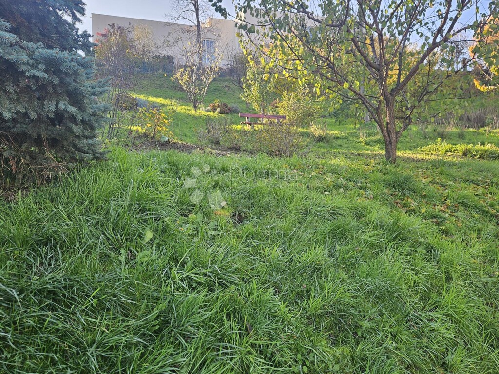 Image 6179075 - 22