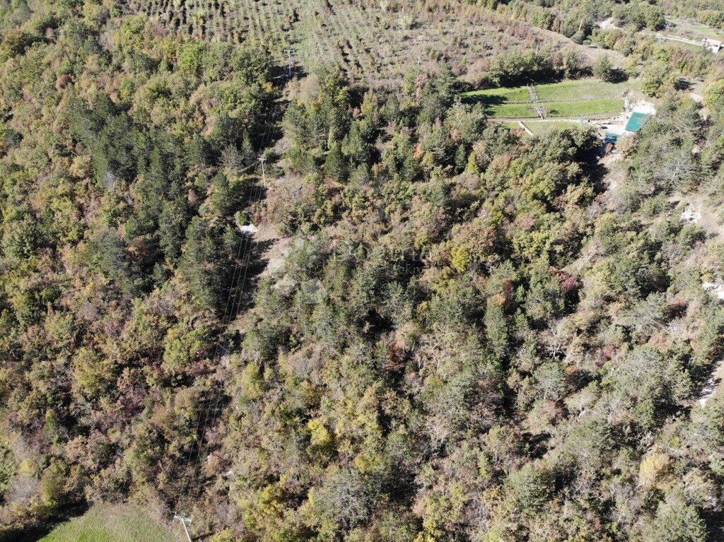 Image 6179085 - 1