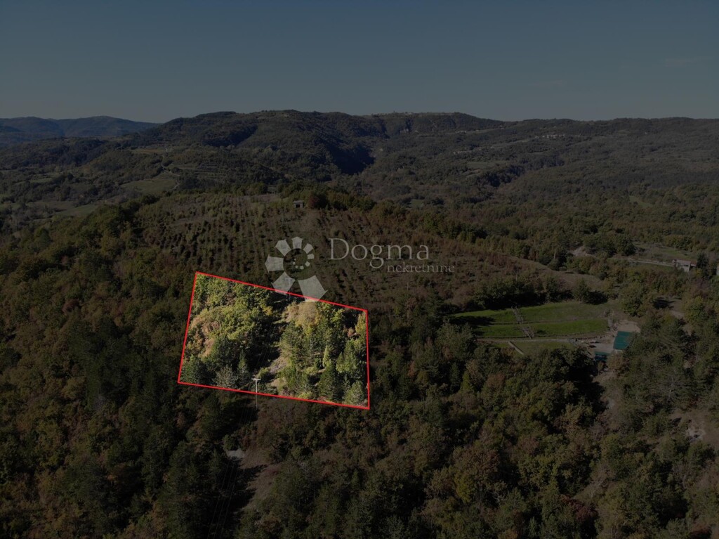 Image 6179085 - 2