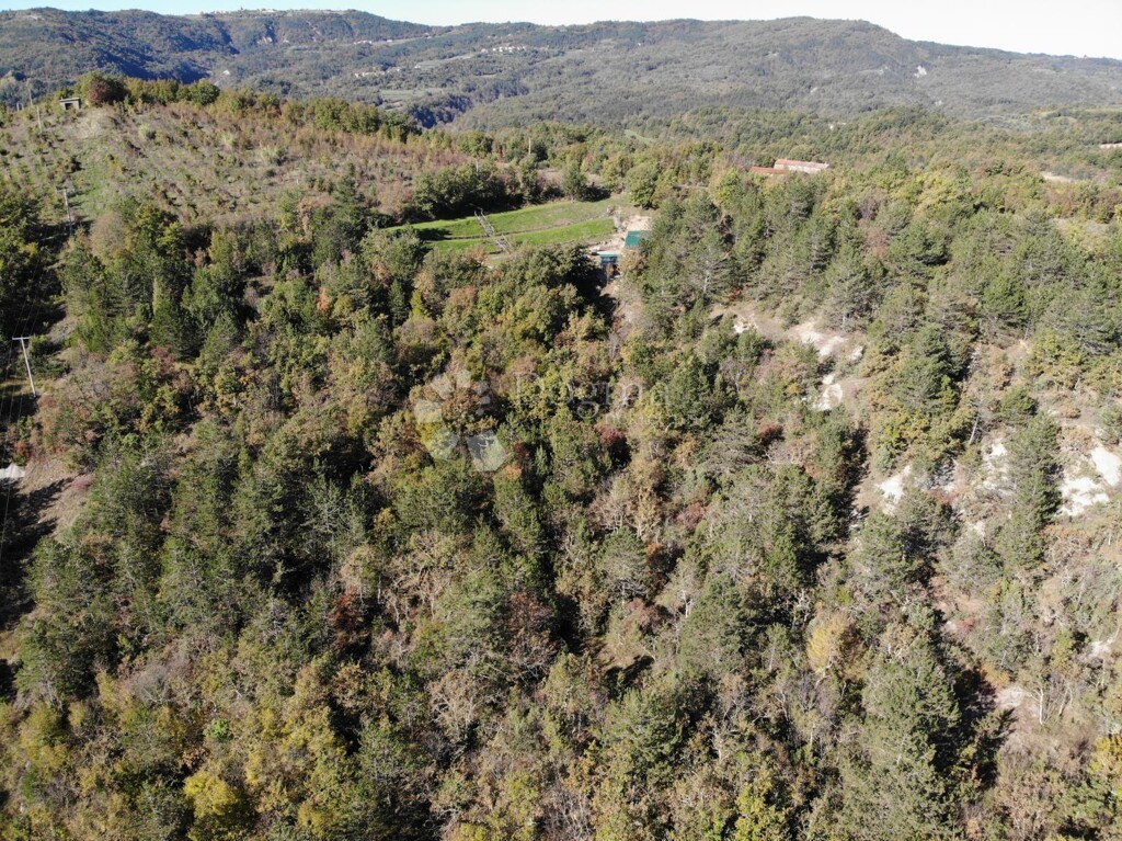 Image 6179085 - 6
