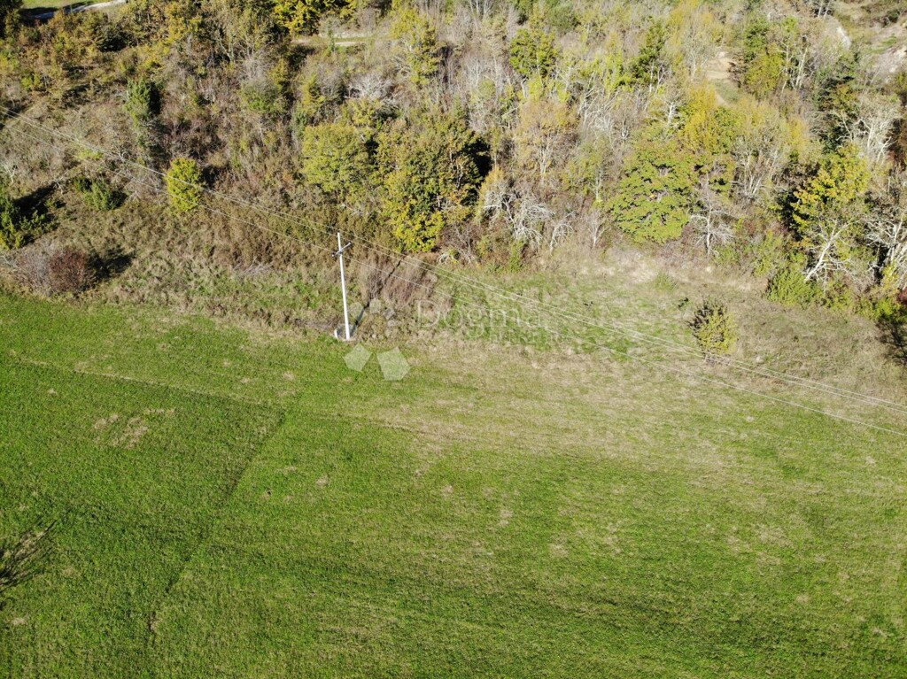 Image 6179086 - 6