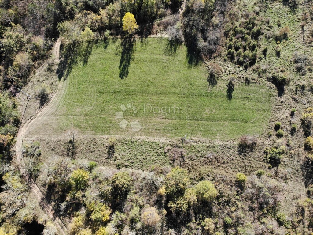 Image 6179086 - 2