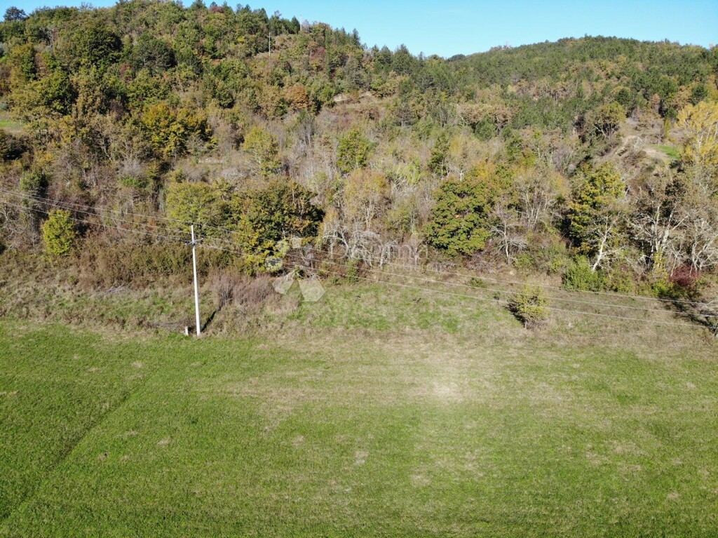 Image 6179086 - 5