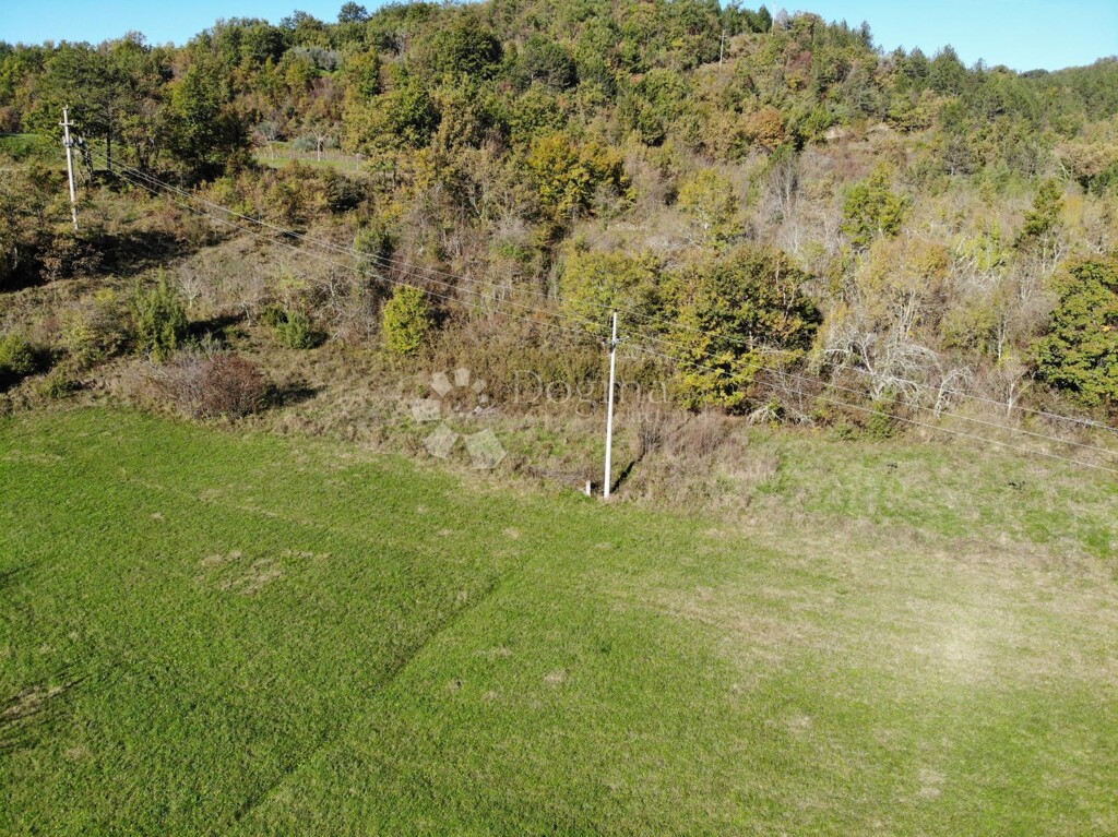 Image 6179086 - 7