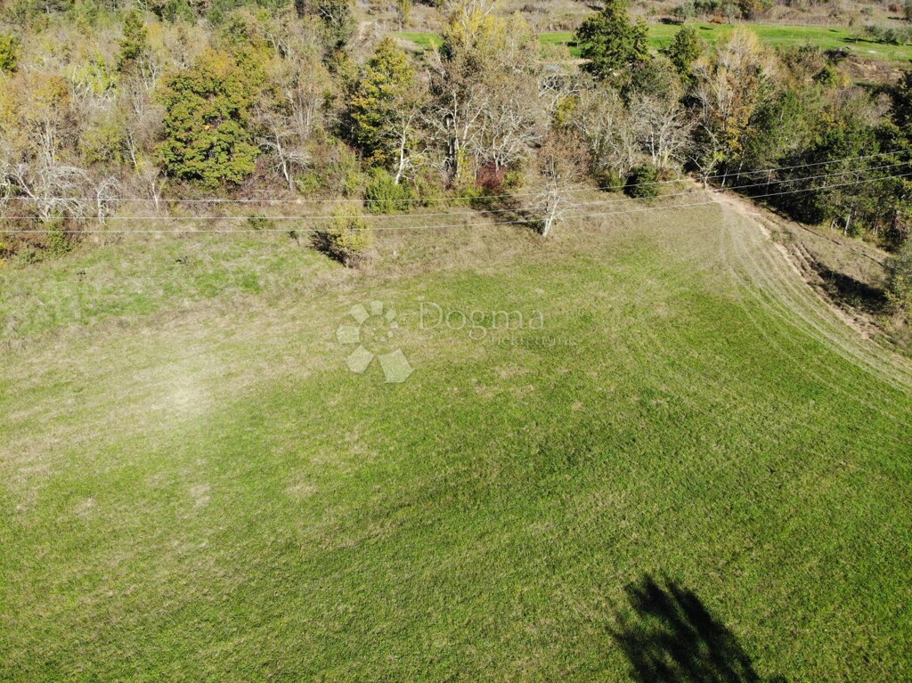 Image 6179086 - 8