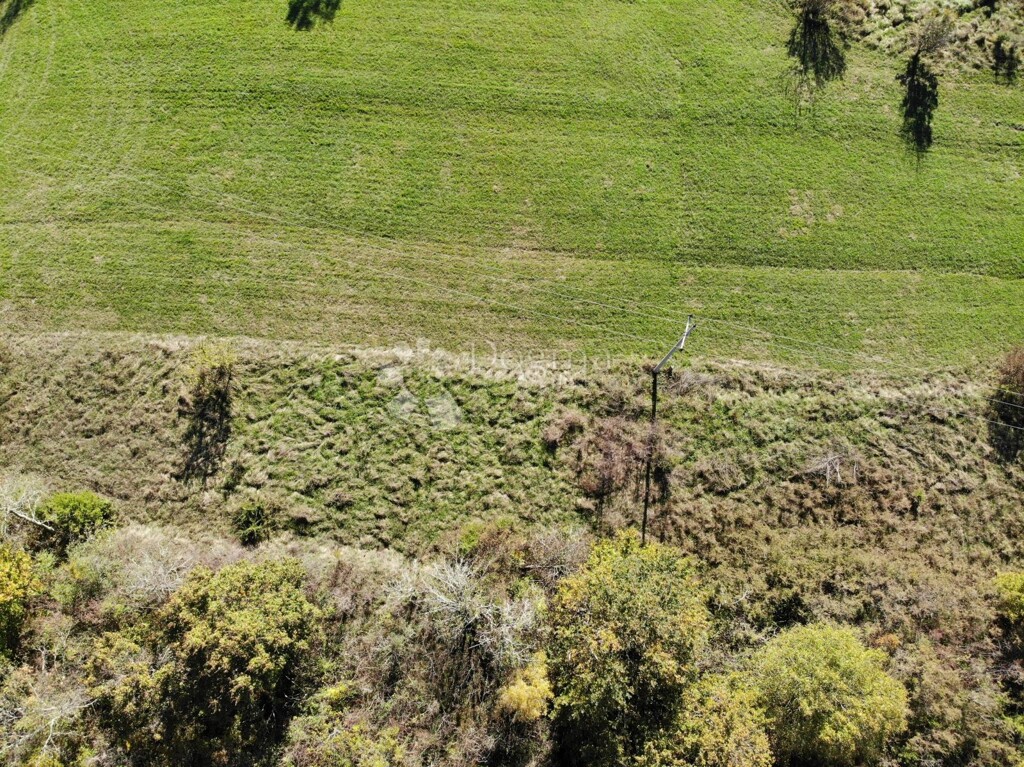 Image 6179086 - 3