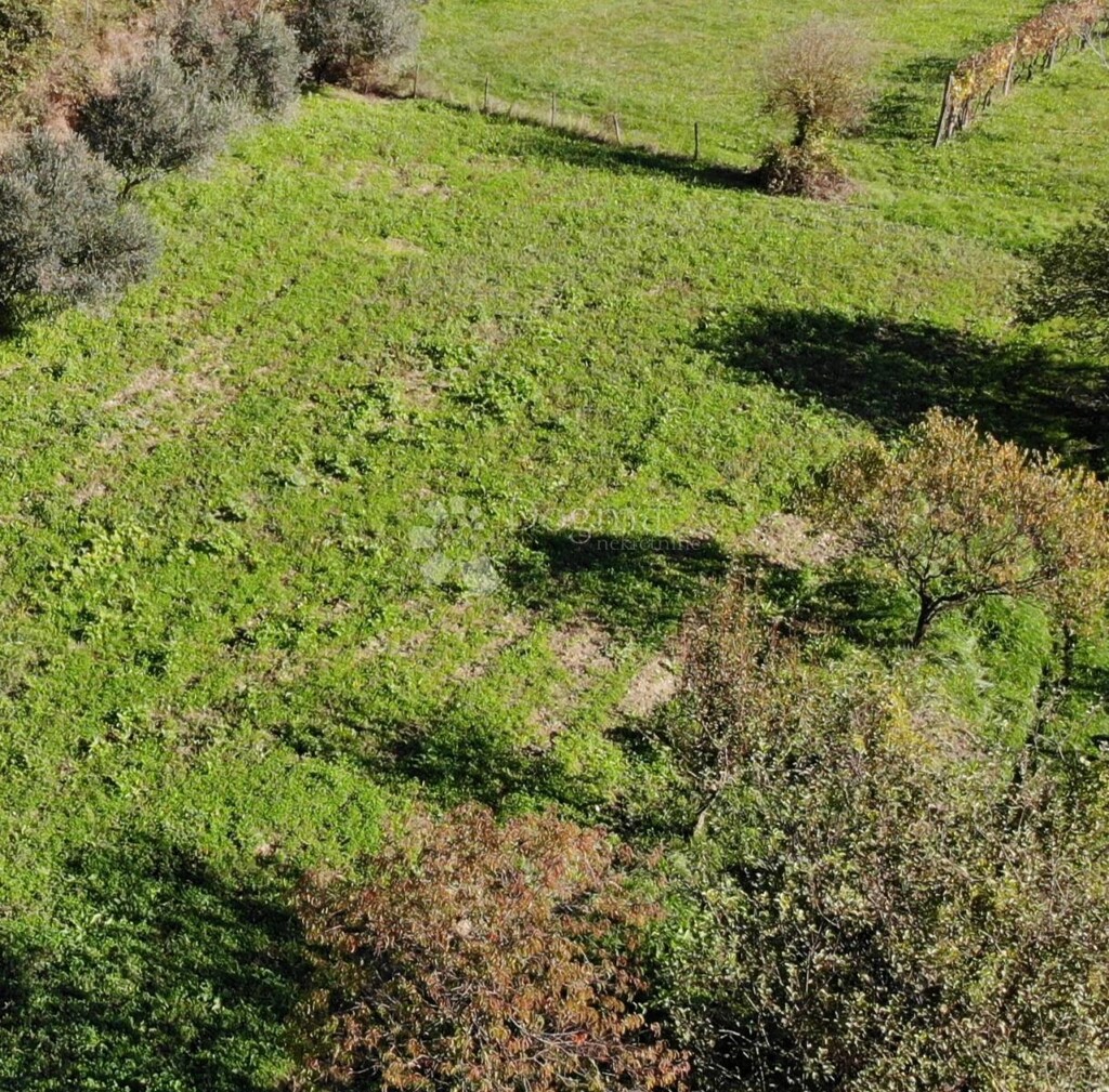 Image 6179087 - 5