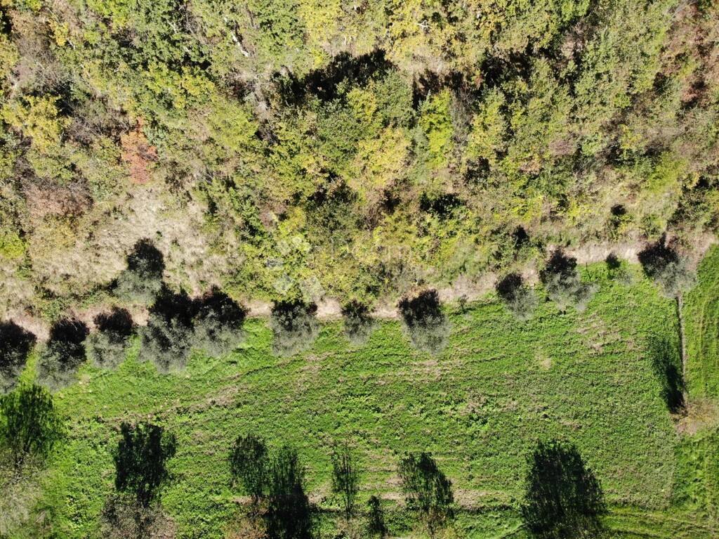 Image 6179087 - 4