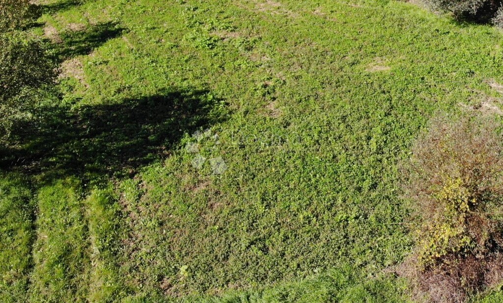 Image 6179087 - 3