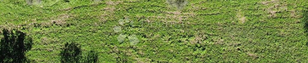 Image 6179089 - 3