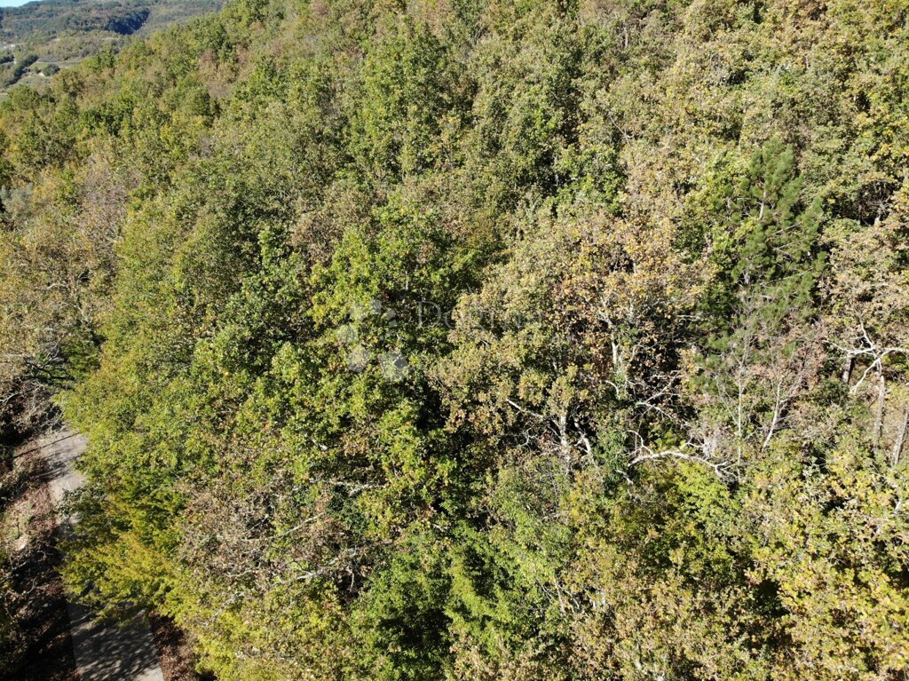 Image 6179093 - 4