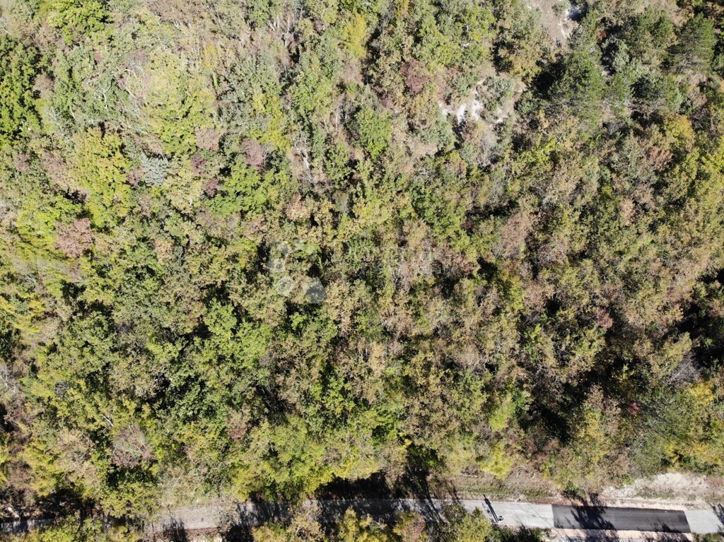 Image 6179093 - 5