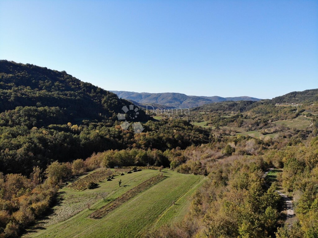 Image 6179093 - 1