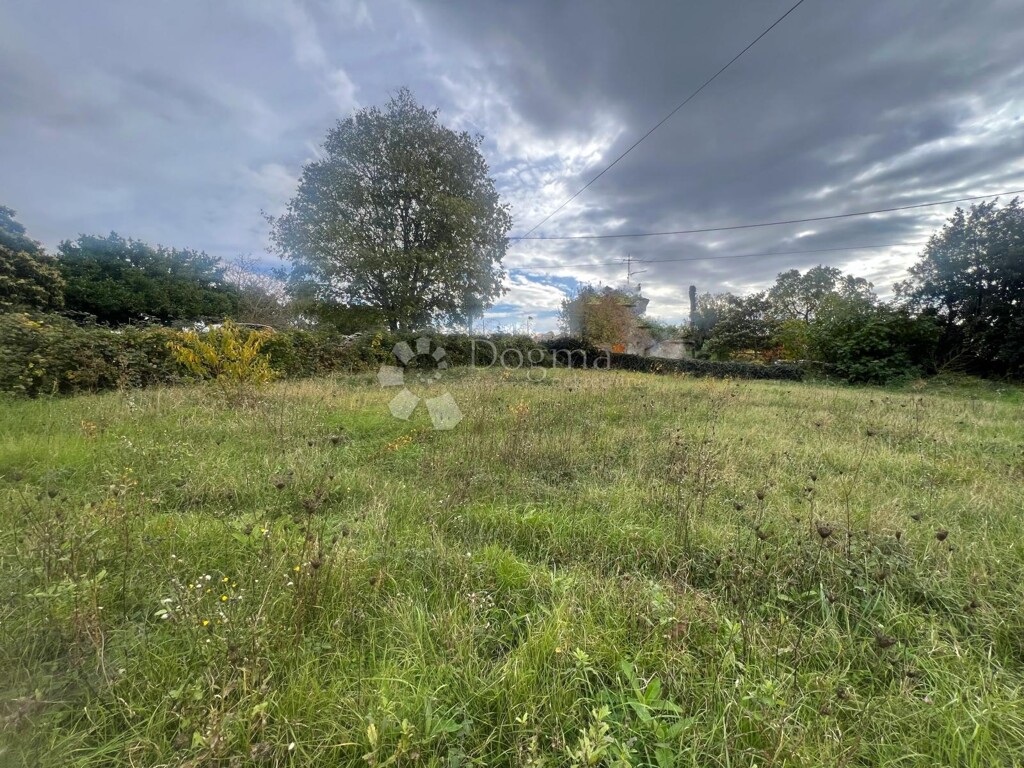 Image 6179113 - 1