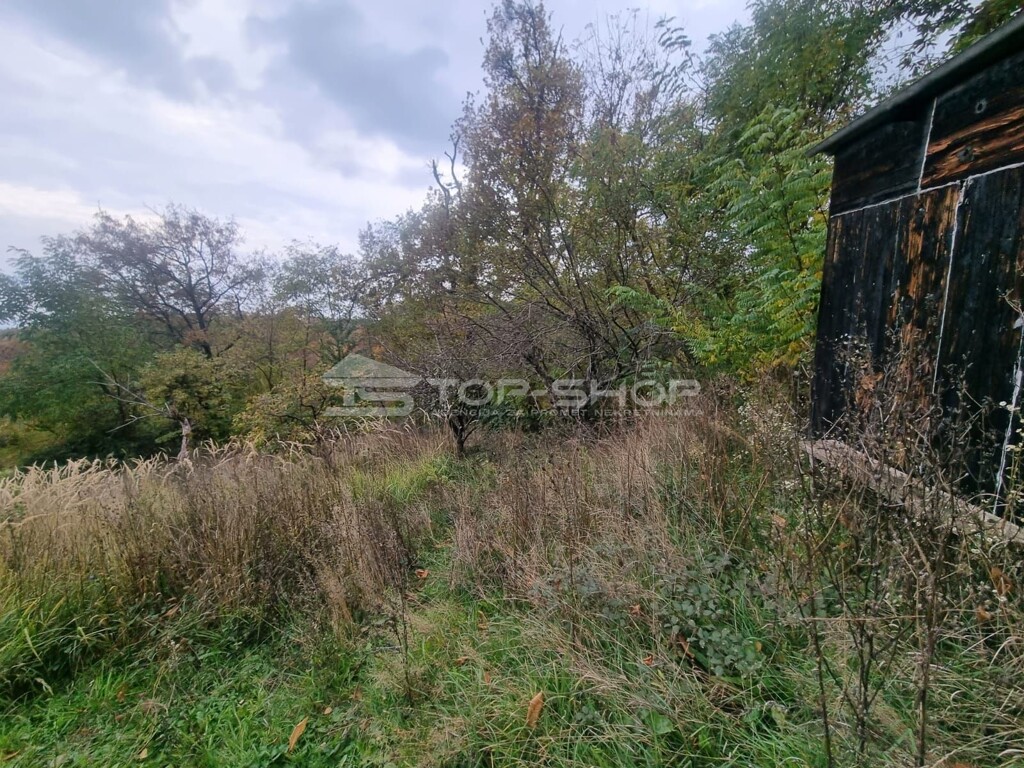 Image 6179142 - 1