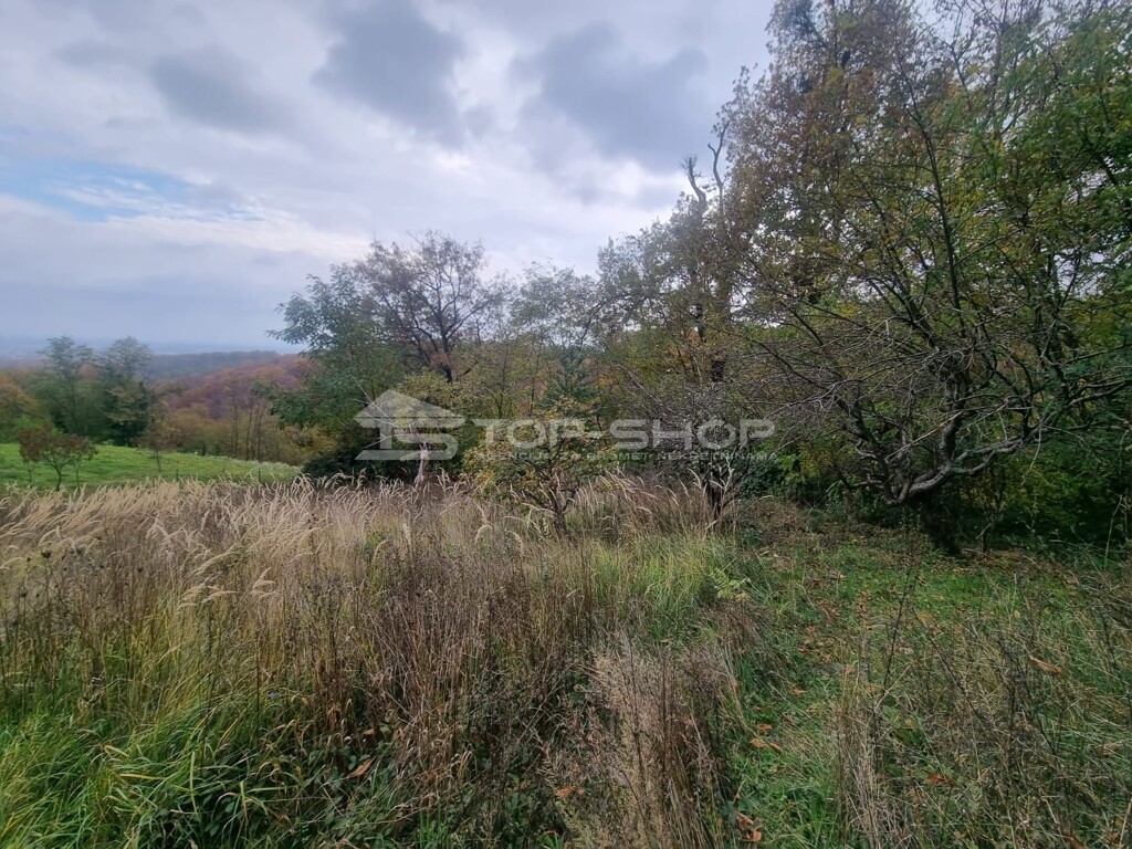Image 6179142 - 2