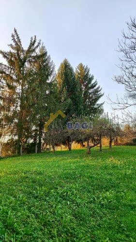 Thumbnail 6181107 - 5