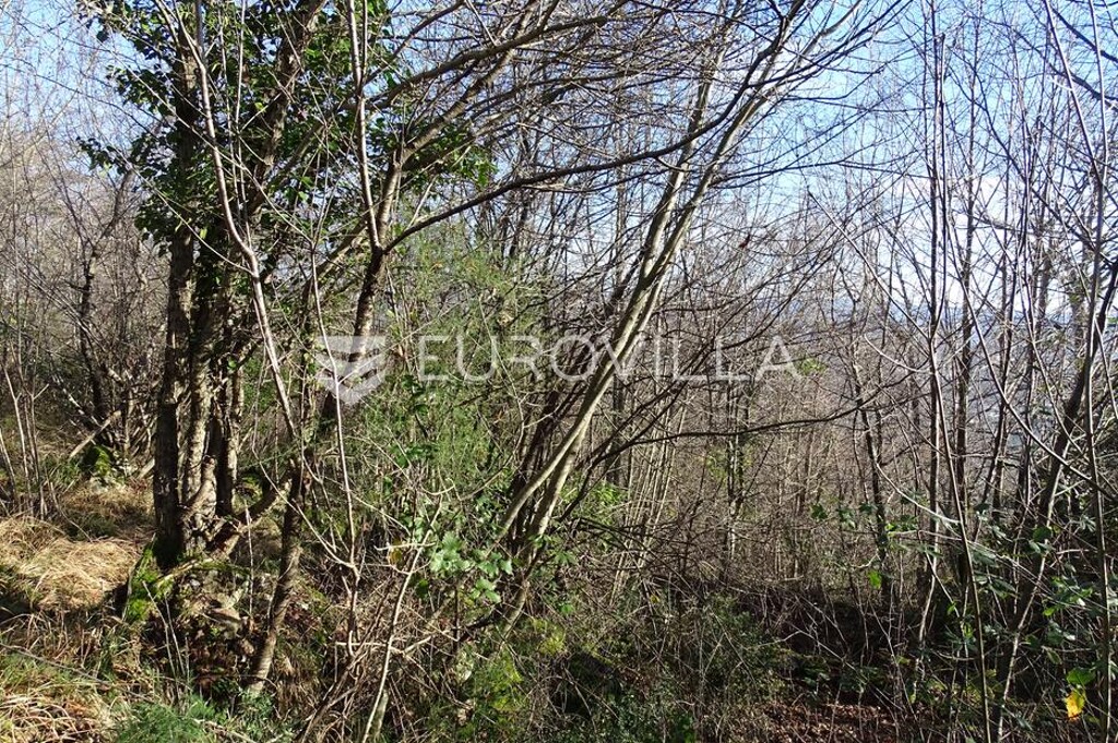 Image 6181443 - 3