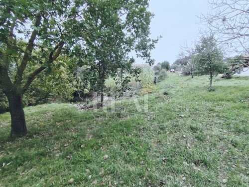Thumbnail 6181503 - 5