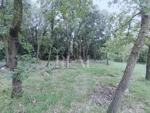 Thumbnail 6181503 - 4