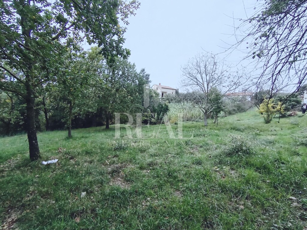 Image 6181503 - 6