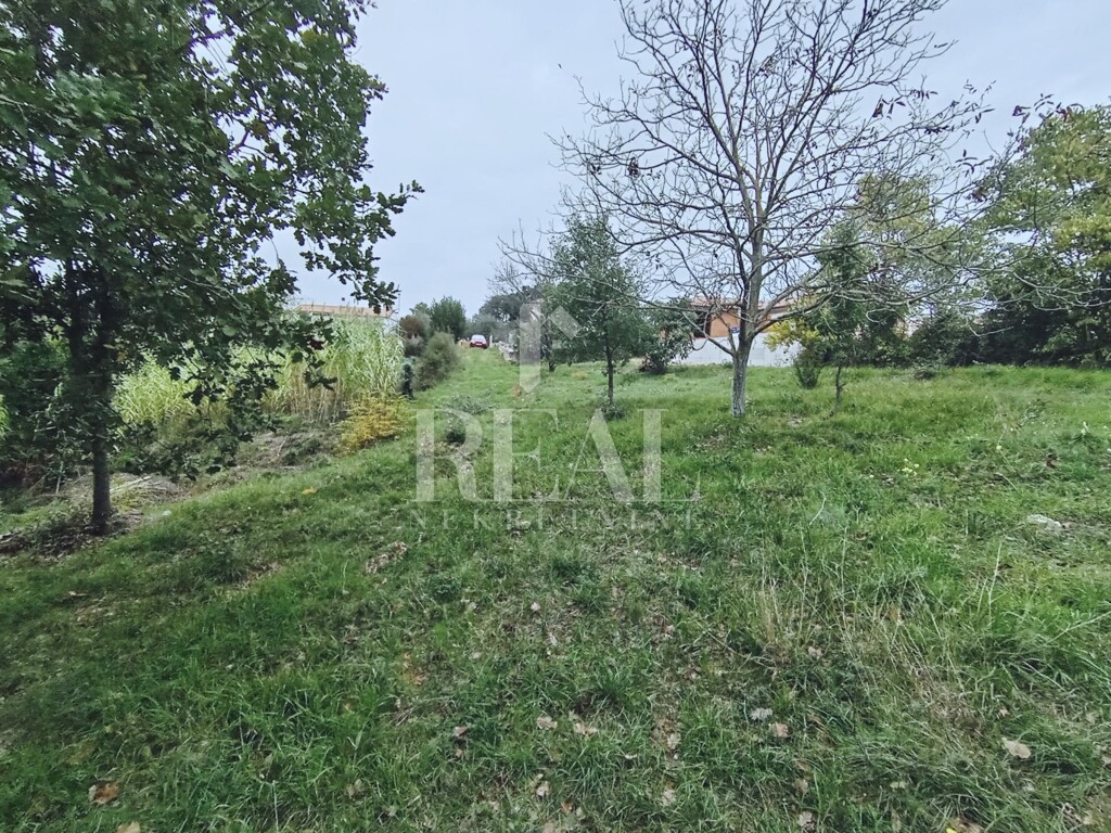 Image 6181503 - 7
