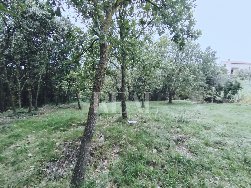 Image 6181503 - 3