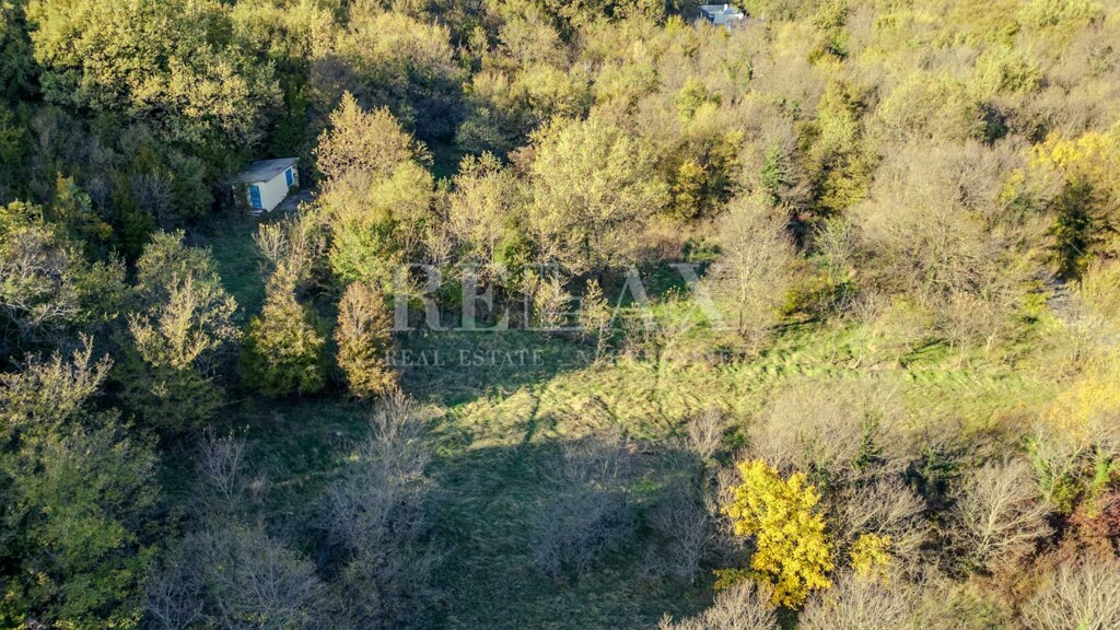 Image 6181523 - 8