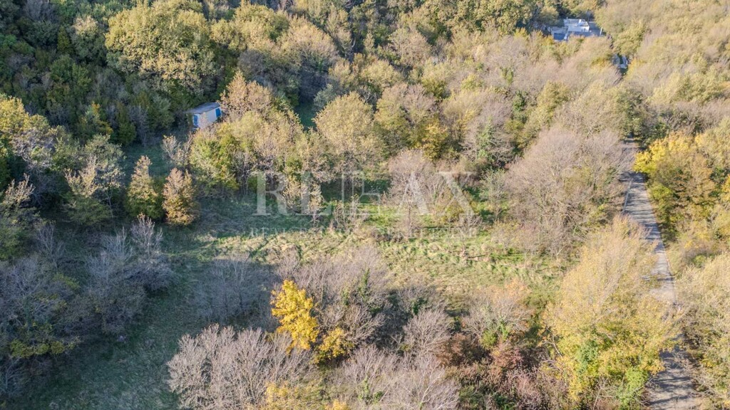 Image 6181523 - 5