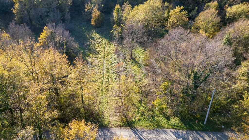 Image 6181523 - 11