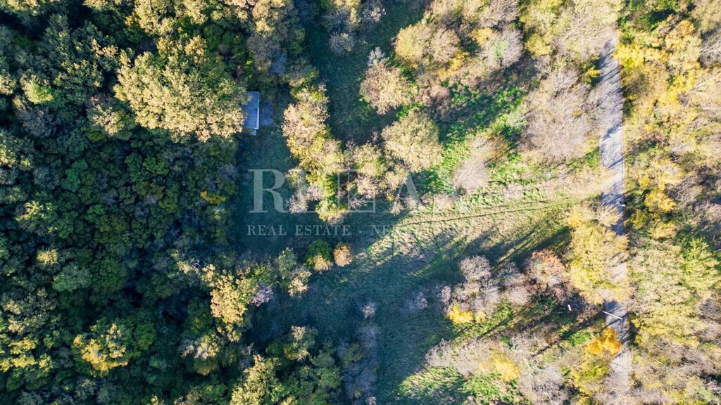 Image 6181523 - 4