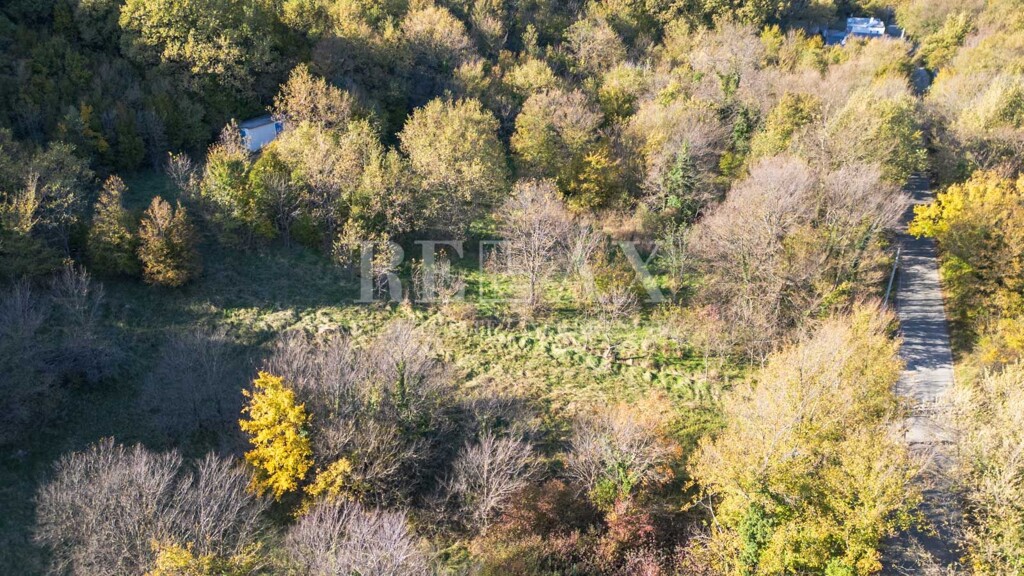 Image 6181523 - 9