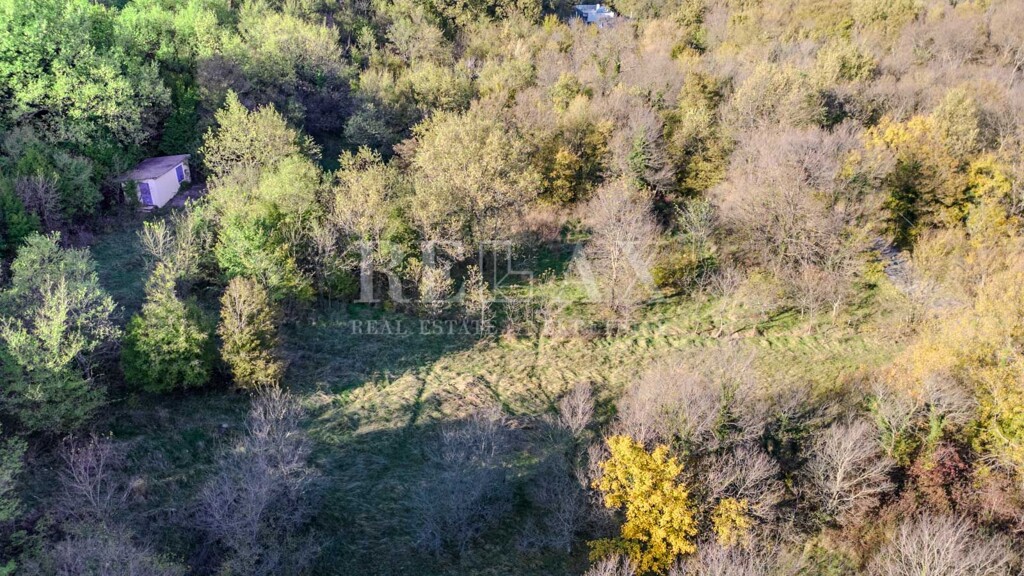 Image 6181523 - 7