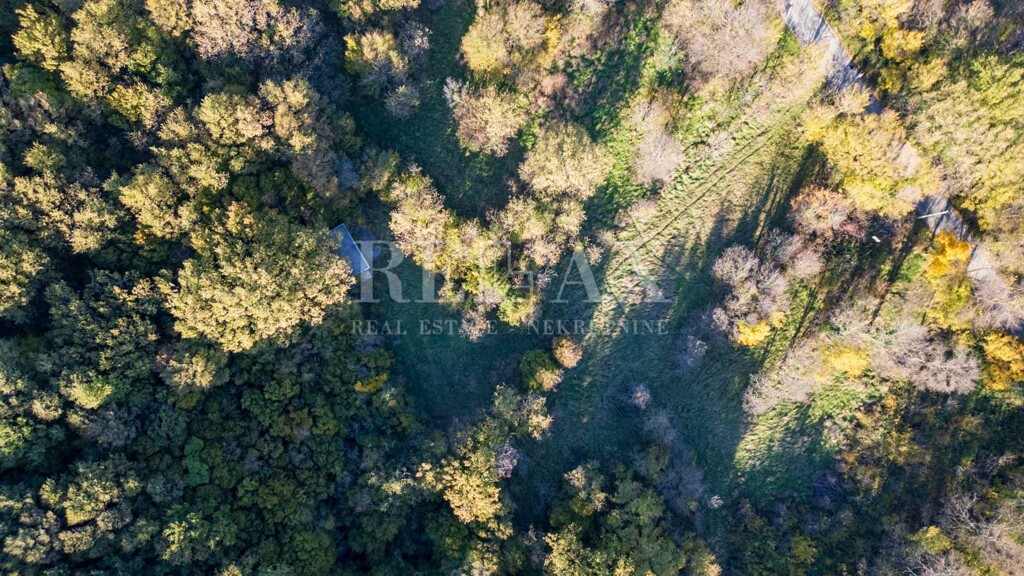 Image 6181523 - 13